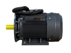 Motor del compresor 01