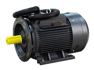 Motor del compresor 02